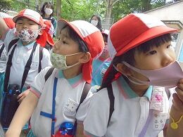 s-DSC02510