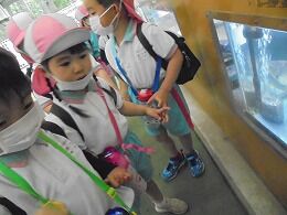 s-DSC02531