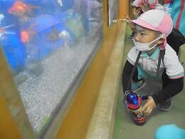 s-DSC02530