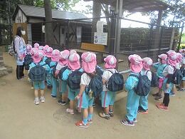 s-DSC02520