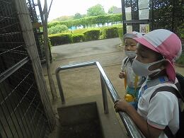 s-DSC02523