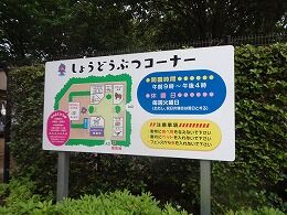 s-DSC09946