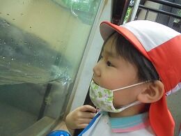 s-DSC02517