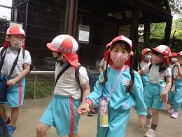 s-DSC09988