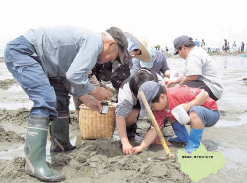 ｈ２５出水市の東干拓での潮干狩り マテ貝 と出水のご当地グルメ 鹿児島県出水市 新 ご当地グルメ いずみ親子ステーキごはん ブログ