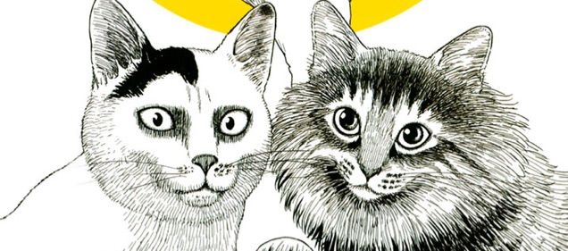 感想 伊藤潤二の猫日記 よん むー 漫画いっき読み
