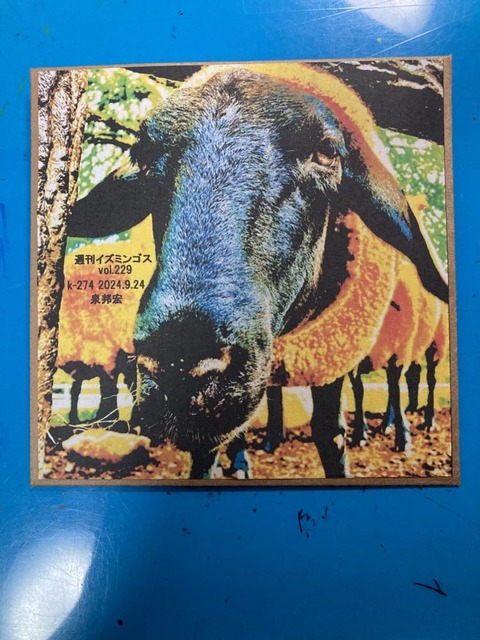 461072991_514743167946207_2751397732918341085_n