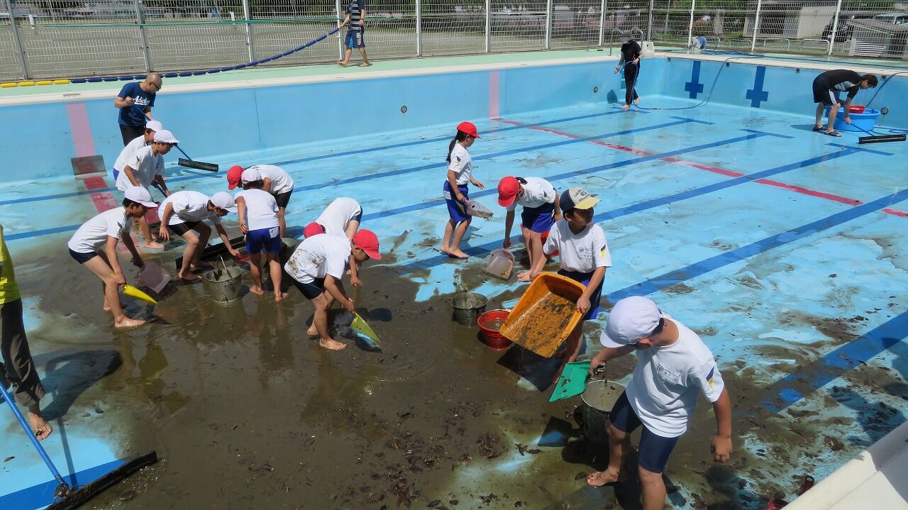 みんなが気持ちよく泳げるように プール清掃 出雲崎小学校 出小日記