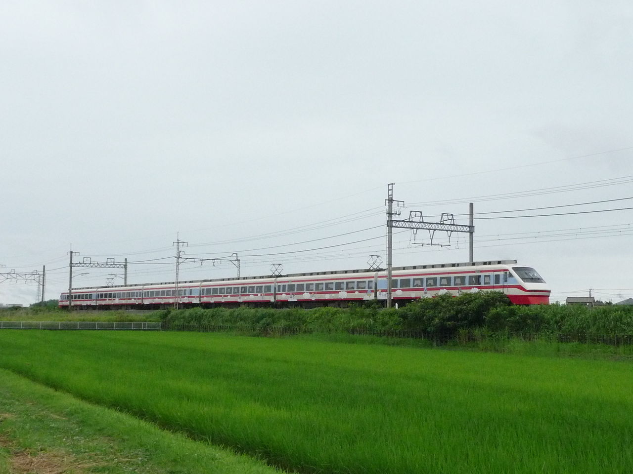 とーきゅーれいる
	  7/8  愛車、伊豆のなつ号運転開始！！
	コメントトラックバック                izunatsu