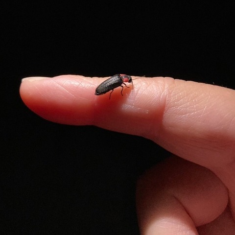 LINE_ALBUM_2024.04〜2025.03板野家(1)_240606_2