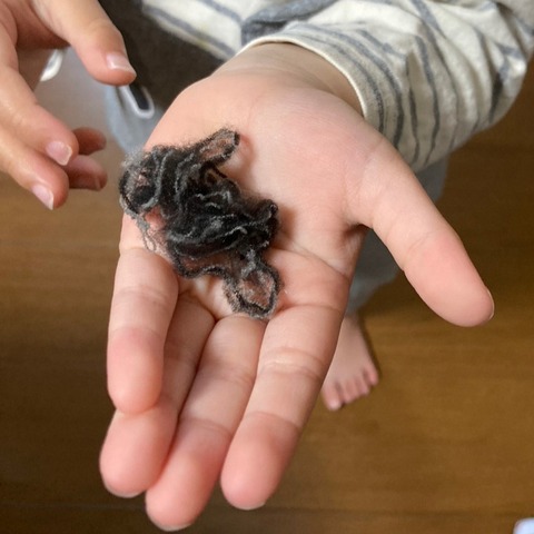 LINE_ALBUM_2023.04〜2024.03板野家(1)_230415_0