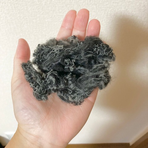 LINE_ALBUM_2023.04〜2024.03板野家(1)_230619_0