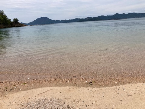 LINE_ALBUM_2023.04〜2024.03板野家(1)_230627_2