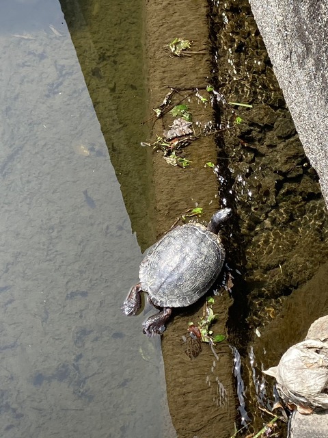 LINE_ALBUM_ブログ_230405_0_0