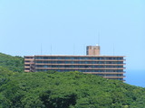 0c64d765.jpg
