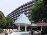10c5d11c.jpg