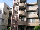 12559ea9.jpg