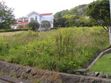 17a2a5bd.jpg