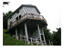 thumbnail1