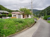 1a257a80.jpg