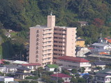 1b240e59.jpg