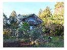 thumbnail1