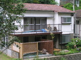 1d06237e.jpg