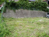 2081df73.jpg