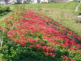 23c96eb9.jpg