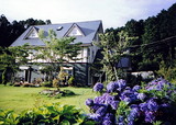 28b689c4.jpg