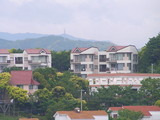 292c8a92.jpg