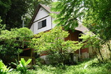 345c67d6.jpg