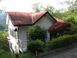 3bec5e11.jpg