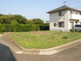 42fb9101.jpg
