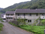 4c299fc7.jpg