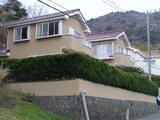 50259776.jpg