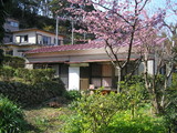 513bca76.jpg