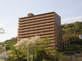 518dafb8.jpg