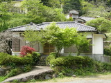 51f31da6.jpg