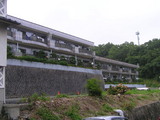 53696f38.jpg