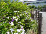 5417e572.jpg