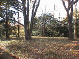 5ae10e23.jpg