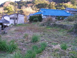 5c291d9b.jpg