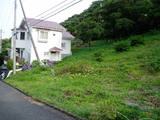 5d3b914d.jpg