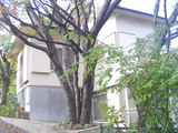 7240c492.jpg