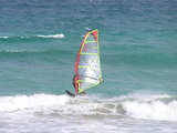 79852f61.jpg