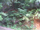 7c9a0584.jpg