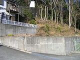 7d26b990.jpg