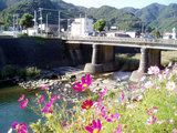 7de5a150.jpg