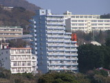 8a815cfe.jpg